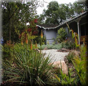 Low Maintenance Gardens